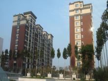潍坊市和春住住宅楼，，，，，获得2013年度潍坊市“优质结构杯质量奖”